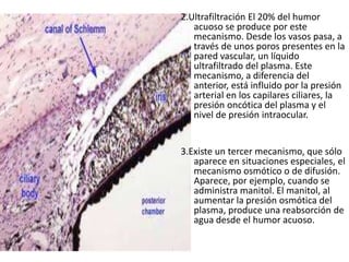 2.Ultrafiltración El 20% del humor
acuoso se produce por este
mecanismo. Desde los vasos pasa, a
través de unos poros presentes en la
pared vascular, un líquido
ultrafiltrado del plasma. Este
mecanismo, a diferencia del
anterior, está influido por la presión
arterial en los capilares ciliares, la
presión oncótica del plasma y el
nivel de presión intraocular.
3.Existe un tercer mecanismo, que sólo
aparece en situaciones especiales, el
mecanismo osmótico o de difusión.
Aparece, por ejemplo, cuando se
administra manitol. El manitol, al
aumentar la presión osmótica del
plasma, produce una reabsorción de
agua desde el humor acuoso.
 