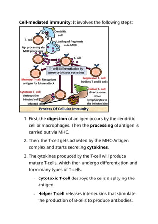 Comprehensive Comparison of Humoral and Cellular Immunity Mechanisms ...