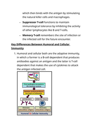 Comprehensive Comparison of Humoral and Cellular Immunity Mechanisms ...