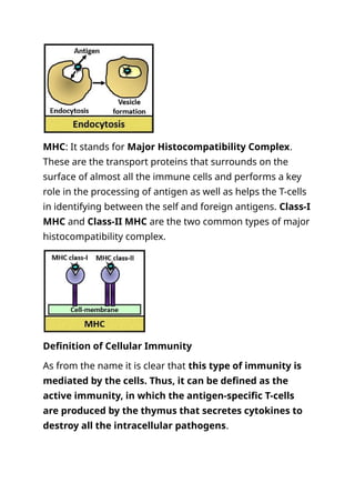 Mhc Definition Comprehensive Comparison of Humoral and Cellular Immunity Mechanisms ...