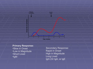 Primary Response:
•Slow in Onset      Secondary Response:
•Low in Magnitude   Rapid in Onset
•Short Lived        High in Magnitude
•IgM                Long Lived
                    IgG (Or IgA, or IgE
 
