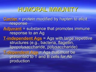 HUMORAL IMMUNITY Carrier  = protein modified by hapten to elicit response Adjuvant  = substance that promotes immune response to an Ag T-independent Ags  = Ags with large repetitive structures (e.g., bacteria, flagellin, lipopolysaccharide, polysaccharide) T-dependent Ags  = Ags that must be presented to T and B cells for Ab production 