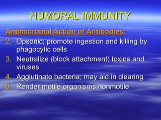 HUMORAL IMMUNITY Antimicrobial Action of Antibodies: Opsonic; promote ingestion and killing by phagocytic cells Neutralize (block attachment) toxins and viruses Agglutinate bacteria; may aid in clearing Render motile organisms nonmotile 