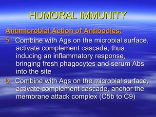 HUMORAL IMMUNITY Antimicrobial Action of Antibodies: 5.   Combine with Ags on the microbial surface, activate complement cascade, thus inducing an inflammatory response, bringing fresh phagocytes and serum Abs into the site 6.   Combine with Ags on the microbial surface, activate complement cascade, anchor the membrane attack complex (C5b to C9)  