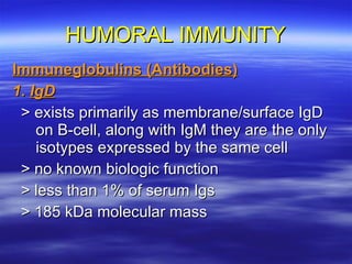 HUMORAL IMMUNITY Immuneglobulins (Antibodies) 1.  IgD > exists primarily as membrane/surface IgD on B-cell, along with IgM they are the only isotypes expressed by the same cell > no known biologic function > less than 1% of serum Igs > 185 kDa molecular mass 