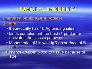 HUMORAL IMMUNITY Immuneglobulins (Antibodies) 2.  IgM > theoretically has 10 Ag binding sites; > binds complement the best (1 pentamer activates the classic pathway) > Monomeric IgM is with IgD on surface of B cells > cannot go from blood to tissue because of size  