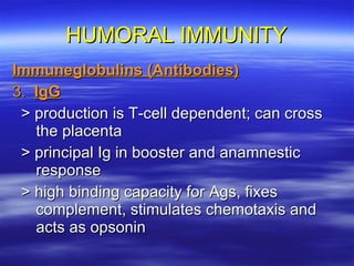 HUMORAL IMMUNITY Immuneglobulins (Antibodies) 3.  IgG > production is T-cell dependent; can cross the placenta > principal Ig in booster and anamnestic response > high binding capacity for Ags, fixes complement, stimulates chemotaxis and acts as opsonin  