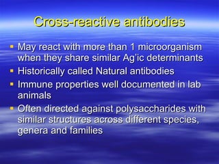 Cross-reactive antibodies May react with more than 1 microorganism when they share similar Ag’ic determinants Historically called Natural antibodies Immune properties well documented in lab animals Often directed against polysaccharides with similar structures across different species, genera and families 