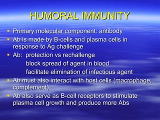 HUMORAL IMMUNITY Primary molecular component: antibody Ab is made by B-cells and plasma cells in response to Ag challenge Ab:  protection vs rechallenge block spread of agent in blood facilitate elimination of infectious agent Ab must also interact with host cells (macrophage, complement) Ab also serve as B-cell receptors to stimulate plasma cell growth and produce more Abs 