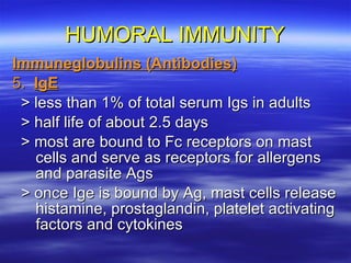 HUMORAL IMMUNITY Immuneglobulins (Antibodies) 5.  IgE > less than 1% of total serum Igs in adults > half life of about 2.5 days > most are bound to Fc receptors on mast cells and serve as receptors for allergens and parasite Ags > once Ige is bound by Ag, mast cells release histamine, prostaglandin, platelet activating factors and cytokines 