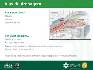 Vias de drenagem
VIA TRABECULAR
Clássica
85-95%
Depende da PIO
VIA ÚVEO-ESCLERAL
5-15% (10-50%)
Não depende da PIO
Espaços intermusculares, Espaços supra-ciliar e supra-coroidal
Esclera, Espaços perivasculares
Ausência de barreira epitelial entre CA e espaço supra-ciliar  Fluxo constante
 