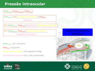Pressão intraocular
Fluxoentrada= Fluxotrabeculado + Fluxouveal
PIO = (Fluxoentrada - Fluxouveal) x Resistência + Pressão Venosa Episcleral
Fluxoentrada= (PIO - Pressão Venosa Episcleral) + Fluxouveal
Resistência
PIO
PIO = (Fluxoentrada - Fluxouveal) + Pressão Venosa Episcleral
Facilidade de Escoamento
Fluxouveal = 0,5 L/min
Pressão Venosa Episcleral = 10 mmHg (8-12 mmHg)
Fluxoentrada = 2,0 – 3,0 L/min
=
Equação de Goldmann
Modificada
Facilidade de Escoamento = 0,22 - 0,28 L/min/mmHg
 