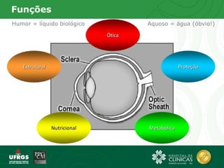 Funções
Ótica
Nutricional Metabólica
ProteçãoEstrutural
Humor = líquido biológico Aquoso = água (óbvio!)
 