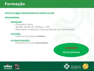 Formação
EPITÉLIO NÃO PIGMENTADO DO CORPO CILIAR
MECANISMOS
• SECREÇÃO
• Transporte Ativo
• Bomba de Na+/K+ ATPase + ATP
• Movimento moléculas contra gradiente de concentração
• DIFUSÃO
• Gradiente de pressão osmótica
• ULTRAFILTRAÇÃO
• Gradiente de pressão hidrostática
VELOCIDADE
2,0-3,0 l/minuto
 