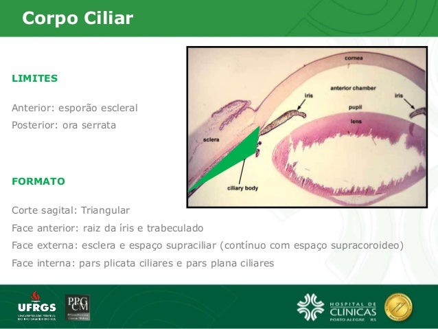Avoir Images Humor Aquoso E Corpo Ciliar le plus cool salutations