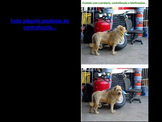 Humor De Fim De Semana