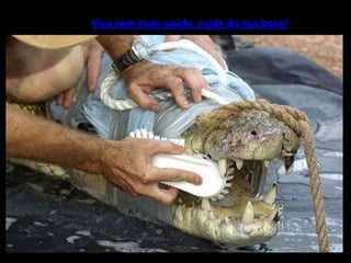 Humor De Fim De Semana