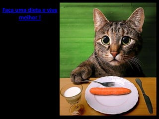 Humor De Fim De Semana