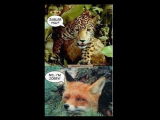 Humor en imagenes 08