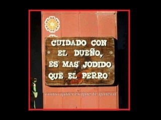 Humor en imagenes 08