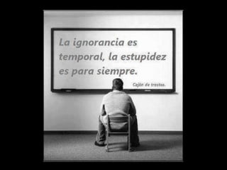 Humor en imagenes 08