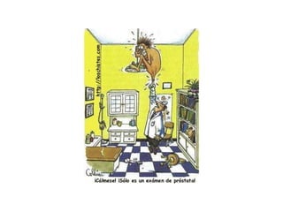 Humor Grafico Picante Ppt