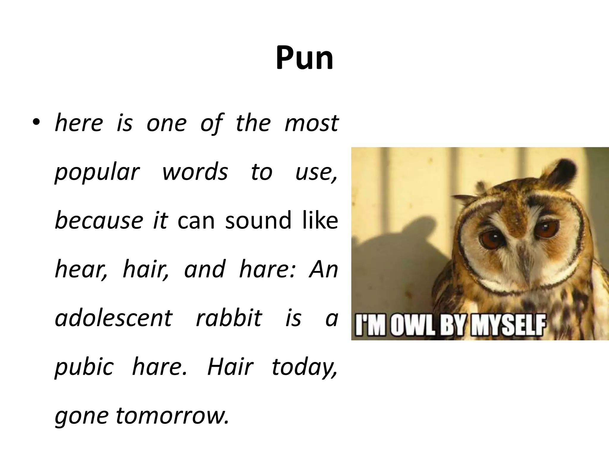 Pun
• here is one of the most
popular words to use,
because it can sound like
hear, hair, and hare: An
adolescent rabbit is a
pubic hare. Hair today,
gone tomorrow.
 