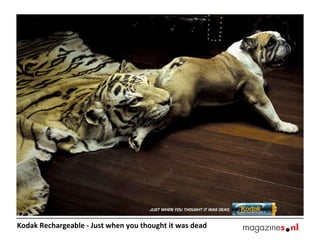 Kodak Rechargeable - Just when you thought it was dead  