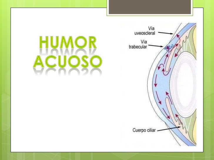 Scarica Gratis Images Humor Vitreo Y Acuoso dernière salutations