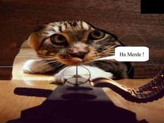 Ha Merde ! 