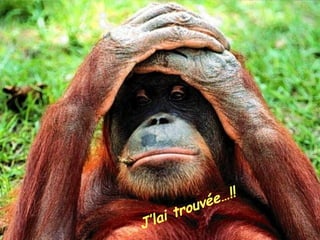 Humour Bg 44 Bernard