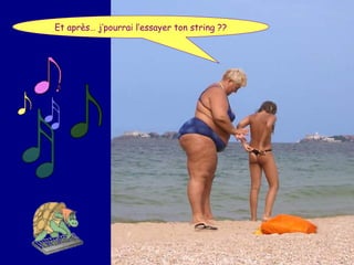 Humour Bg 44 Bernard