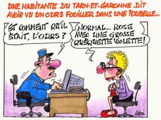 Humour Bg 44 Bernard