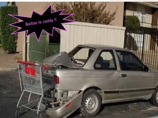 Humour Bg 44 Bernard