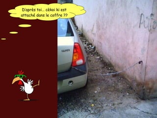 Humour Bg 44 Bernard