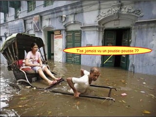 Humour Bg 44 Bernard