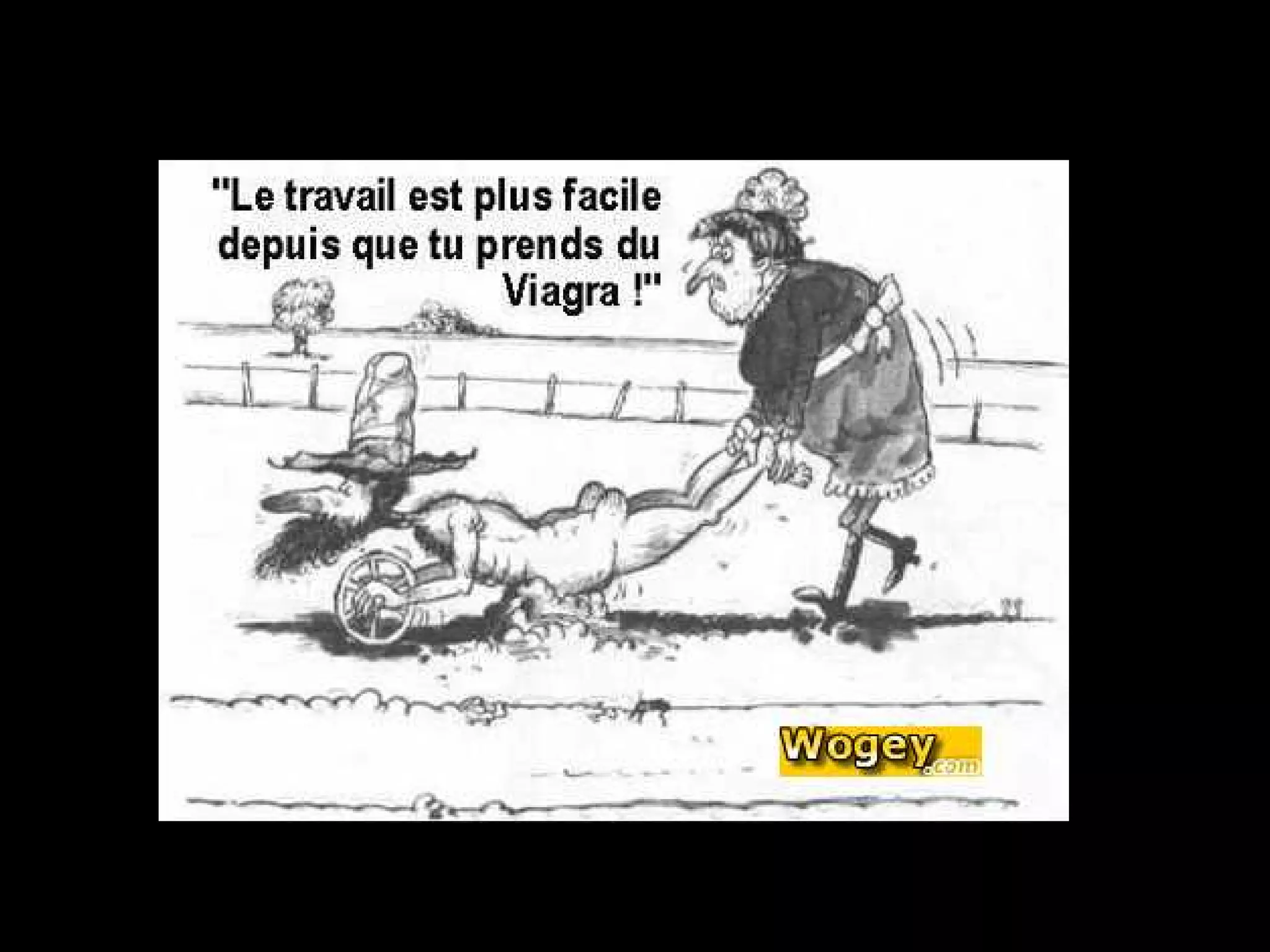 Humour Et Insolites | PPS