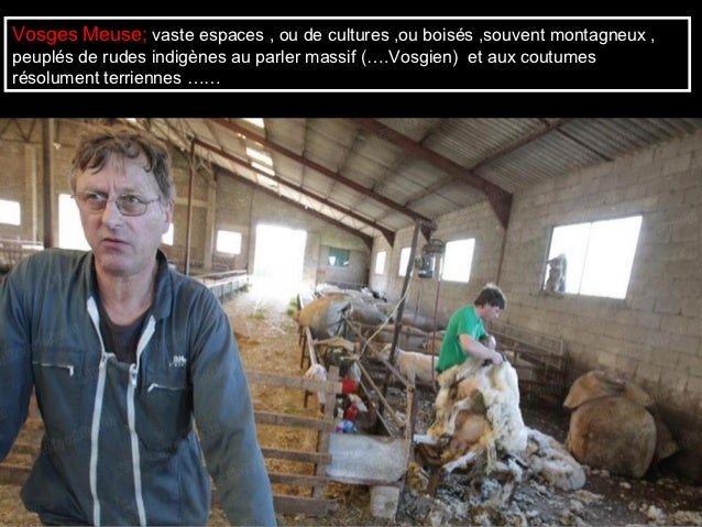 Télécharger gratuitement Images Humour Et Patois Lorrains actualisé par