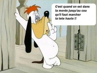 Humour Pour Le Mardi Pps