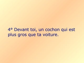 4° Devant toi, un cochon qui est plus gros que ta voiture. 