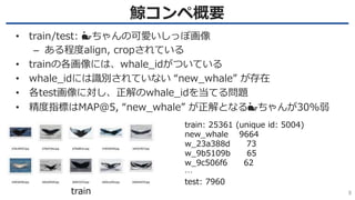 Humpback whale identification challenge反省会 | PPTX