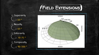 Field Extensions
• Superiorly
60 °
• Nasally
60 °
• Inferiorly
70-75 °
• Temporally
90-100 °
 