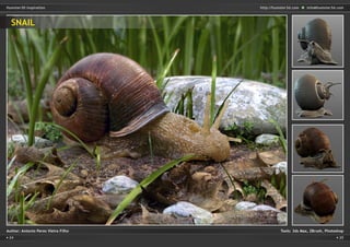 24 25
http://humster3d.com info@humster3d.comHumster3D Inspiration
Author: Antonio Peres Vieira Filho	 Tools: 3ds Max, ZBrush, Photoshop
SNAIL
 
