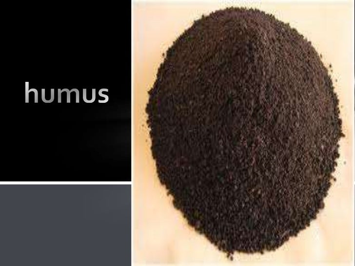 Humus
