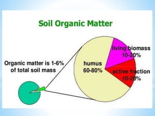 Soil humus | PPTX