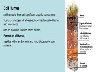 Humus ppt