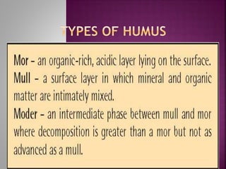 Humus ppt