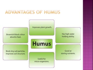 Humus ppt