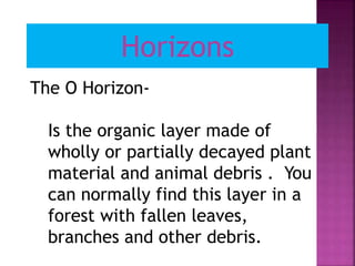 The O Horizon-
Is the organic layer made of
wholly or partially decayed plant
material and animal debris . You
can normally find this layer in a
forest with fallen leaves,
branches and other debris.
Horizons
 