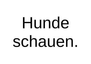 Hunde
schauen.